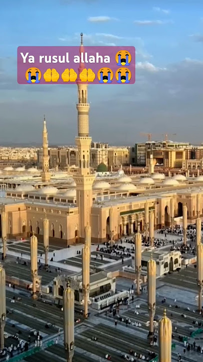 🤲 ya 🤲 rusul 🤲 allaha 🤲 wasun 🤲 lejyia 🤲 mare 🤲 fariad 🤲🤲😭😭😭😭🙏🏼🙏🏼
