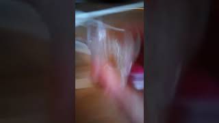 1 часть выращивание медведей