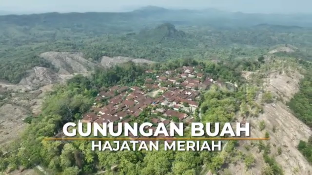 [FULL] Gunungan Buah Hajatan Meriah  | SI BOLANG (14/11/24)