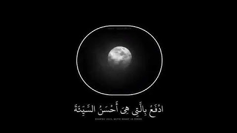 قرآن كريم بصوت القارئ رعد الكردي || حالات واتس اب