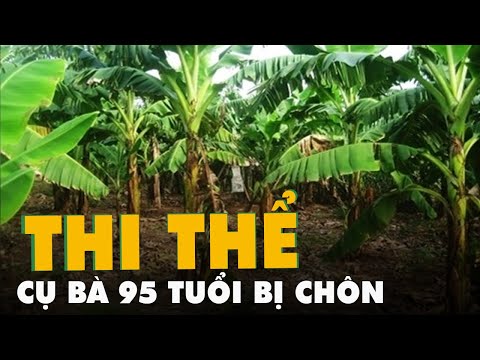 Video Thi thể cụ bà 95 tuổi chôn bất thường trong vườn nhà... - youtube