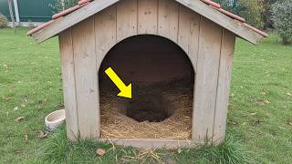 Boy Disappears While Playing — 6 Years Later, Dad Finds THIS Under the Dog Kennel