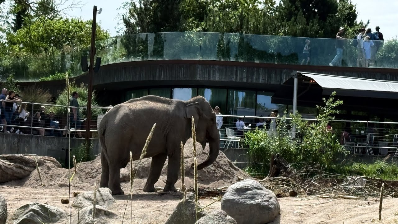 Vanlife på Frederiksberg !