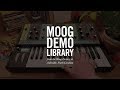Grandmother | Sequencer Basics