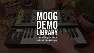 Moog Grandmother semi-modular analog synthesizer video