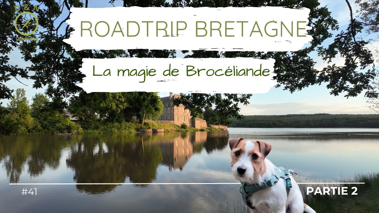 #41-FR 🇨🇵Roadtrip Bretagne - la magie de Brocéliande en fourgon - Camping municipal à Paimpont