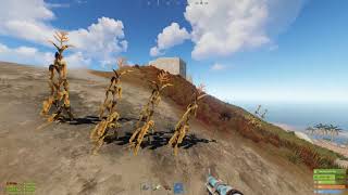 hackers on rustafied