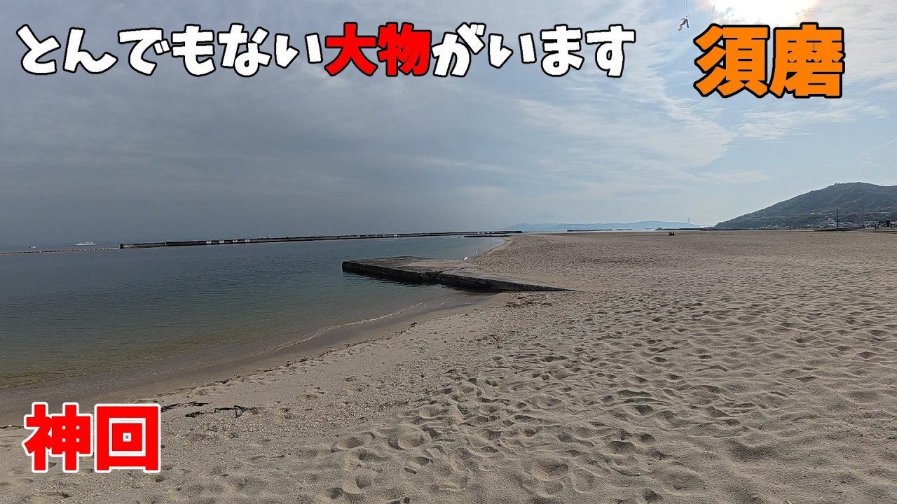 須磨海岸でルアー投げたらとんでもない大物が来て手が震えました。