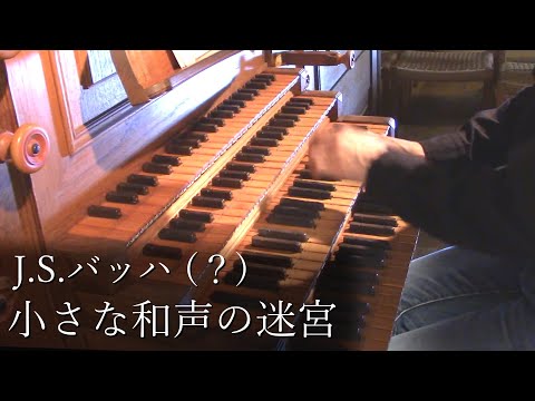 y*様 kotobuki ダックスフンド犬　オーケストラ　音楽隊　バイオリン　サ J.S.バッハ - 小さな和声の迷宮 BWV591 オルガン - 冨田一樹