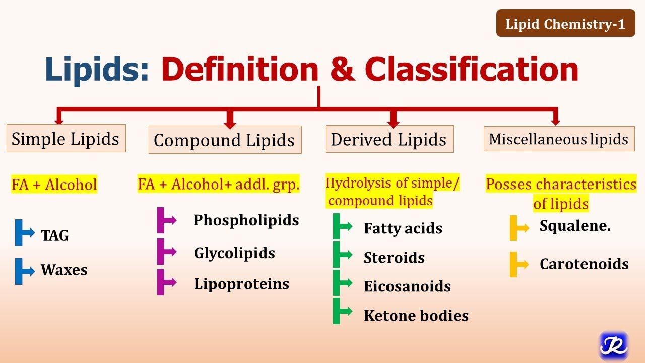 1-lipids-definition-classification-functions-lipid-chemistry-1