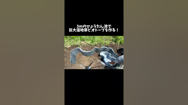 3mの巨大湿地帯ビオトープ作り　#shorts