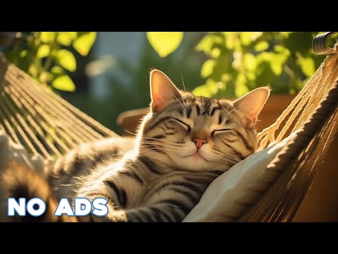 12 Hours Sleep Music For Cats Calming Music For Cats No Ads Sleep Music For Anxious Cats