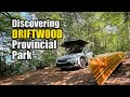 Finding Serenity in the New Growth: How Driftwood Provincial Park Became My Unexpected Oasis