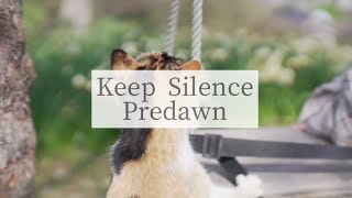 Keep Silence   Predawn - cover