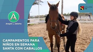 Amor por los caballos