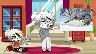 How do you say seal in french // Gacha Club Skit