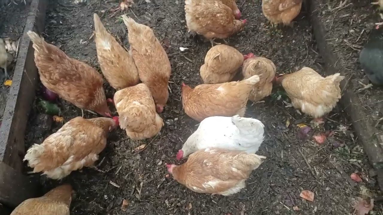 Бесплатный обогрев для высоких теплиц!