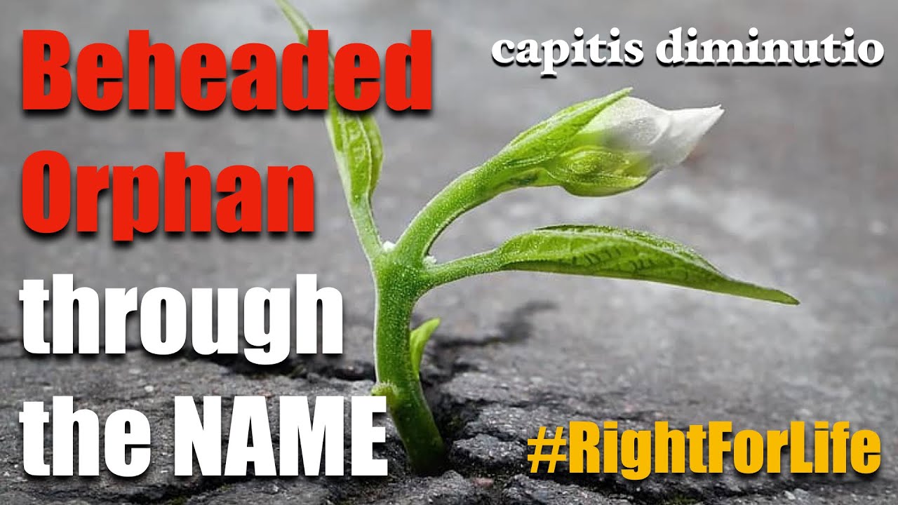 Capitis Diminutio - Beheaded Orphan 