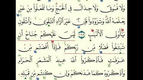 (2) سورة البقرة من 196 الى 202