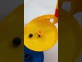 どこまで走るかな?#marblerun #asmr #marble #haba #toys #satisfying #woodentoys