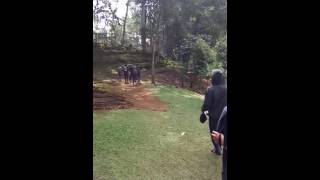 Situs salakadomas gunung salak