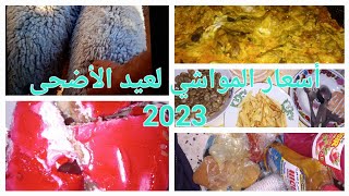 أسعار مواشي عيد الأضحى 2023/عشايا ليلة قبل عرفة و تحضيرات مشتريات عيد الأضحى