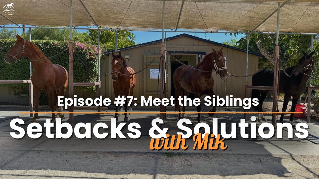 Знакомьтесь, мои лошади! Как я тренирую разные характеры 🐴 | Неудачи и решения, выпуск 7