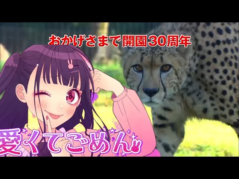サファリパークのcmが可愛くてごめんと似てる件