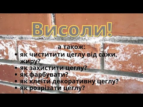 Как бороться с высолами на кирпиче? Как ухаживать за кирпичной кладкой? Работы с кирпичом