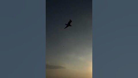 مقطع من سورة المؤمنون بصوت القارئ عاصم بني خالد