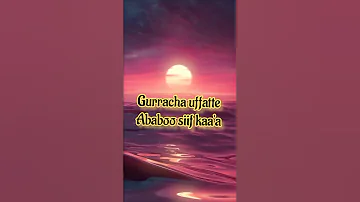 Namni Walaloo Afaan Oromoo 