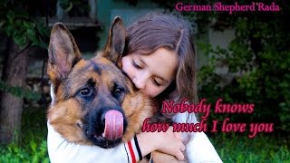 Nobody knows how much I love you. German Shepherd Rada.