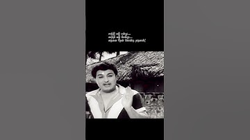 ♥🎶MGR vintage song | Enakkoru magan pirappan | #tms | #viswanathanramamoorthy | #mgr | #old | #song