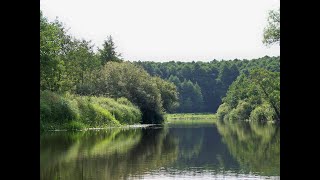 Одиночный сплав по реке Снов на байдарке