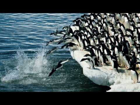 Hedj & Cativo - March for Death