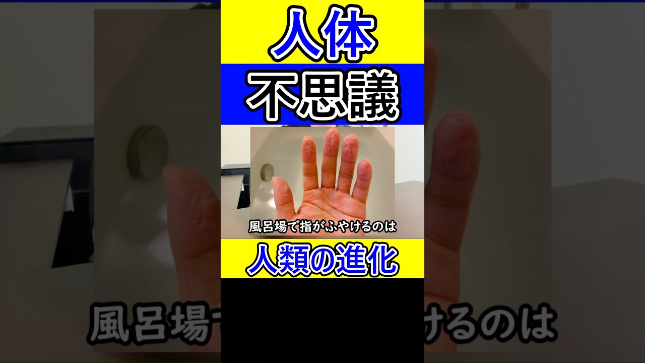 人体の不思議3選 #人体の不思議