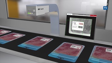 ProElektronika Baumer VeriSens vision sensors