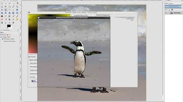 Foreground Extraction Tool in G