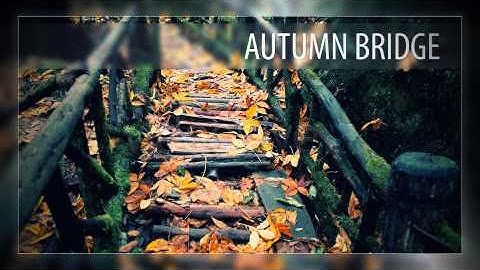 After Effects Project Files - Puzzle Image Gallery - VideoHive