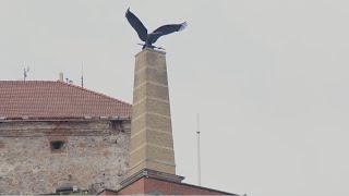 Sátoraljaújhely a Magyar Kálváriára hozná a Munkácsi várról leszerelt Turul szobrot
