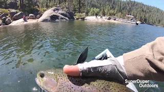 The Best Place to Fish.  Pinecrest California 2020 Trout Opener  PT. 02 feeding the addiction.