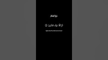 سورة التكاثر | Surat At-Takathur