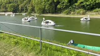 CITY,FOOD,THINGS,DIARY (東京ドイツ村/千葉県) (※⚠️この動画は2026年4月に撮影したものです)