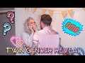 GENDER REVEAL TWEELING + 20 WEKEN ECHO - Vlog 03
