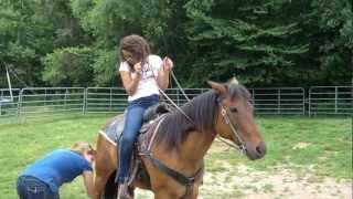 Horse Riding Horse Riding