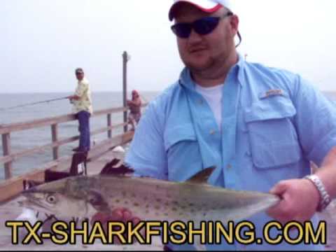 Catching Fish at Bob Hall Pier in Corpus Christi T...