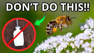 Natural Ways to Attract Bees to Your Garden