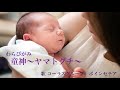 童神(わらびがみ)~天の子守唄~