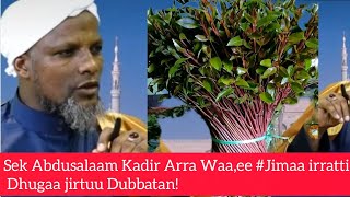 Shek Abdusalam Kadiir Waa,Ee Dhimma Irratti Waan Ajaa,Ibaa Dubbatan