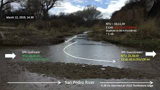 Upper San Pedro River - Water Quality Impairments